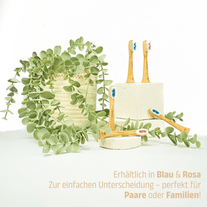 Aufsteckbürsten aus Bambus für Philips Sonicare Schallzahnbürsten | 6er Set - Bambuna