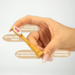 Aufsteckbürsten aus Bambus für Philips Sonicare Schallzahnbürsten | 6er Set - Bambuna